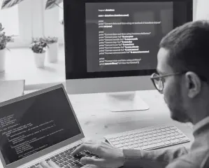 Website Development