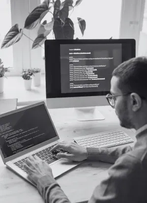 Website development